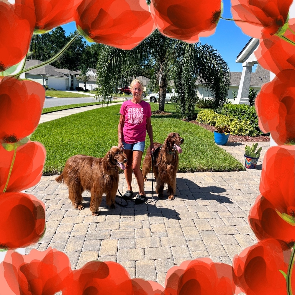 Meet your Posher, Lisa